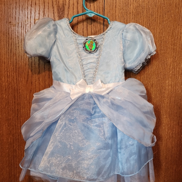 Disney Cinderella Halloween Costume - Picture 9 of 11